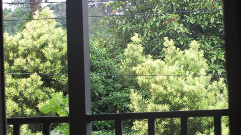 باتومي Suliko Guest House المظهر الخارجي الصورة