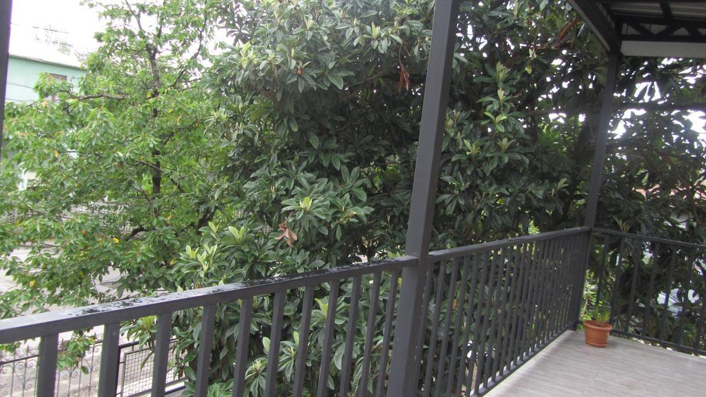 باتومي Suliko Guest House المظهر الخارجي الصورة