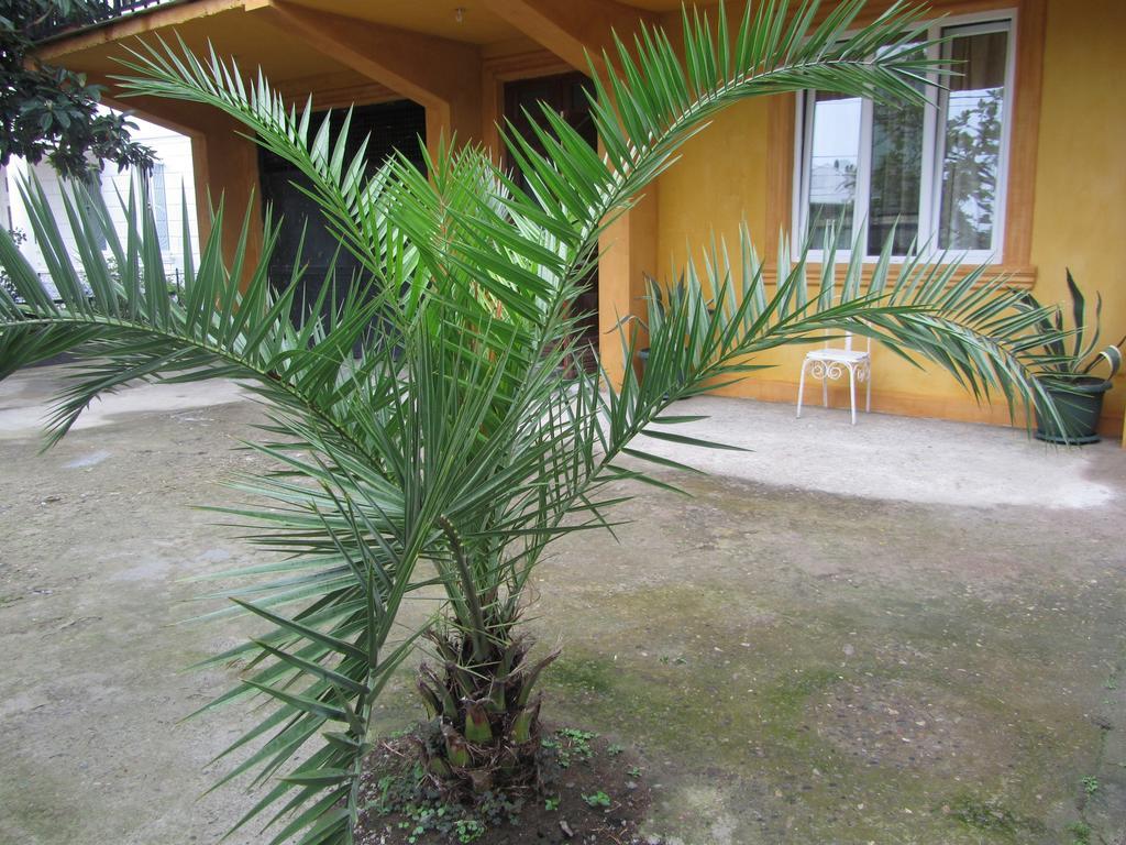 باتومي Suliko Guest House المظهر الخارجي الصورة