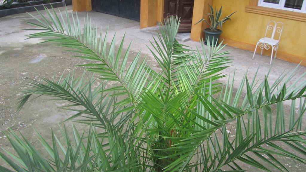 باتومي Suliko Guest House المظهر الخارجي الصورة